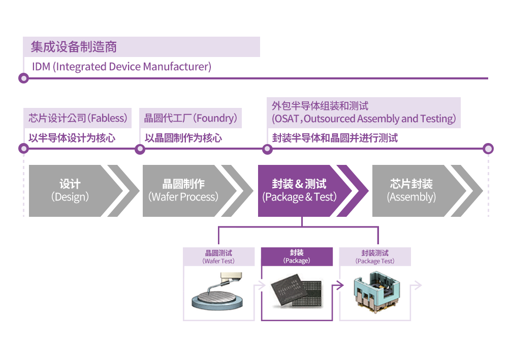 职业发展建议.png